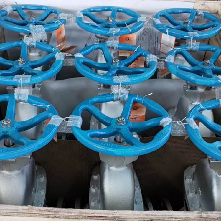 进口高中压闸阀是一种平衡式结构双座阀(图1)