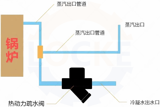 进口热动力疏水阀安装说明(图1)